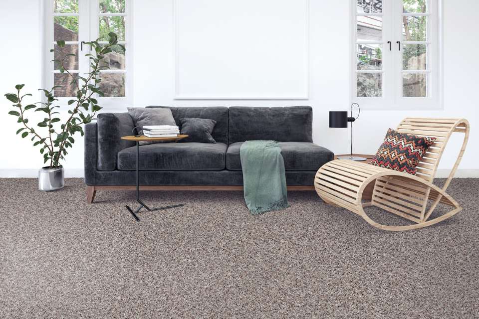 gray shag carpet in living room with wicker chair and large plant